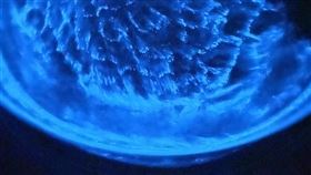 馬祖藍眼淚生態館標榜「每天都能看」藍眼淚，民眾不再敗興而歸。（圖／藍眼淚生態館提供）