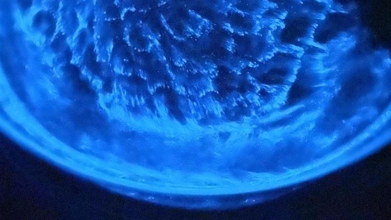 馬祖秘境／「這裡」四季都能看藍眼淚