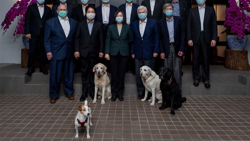 小英領養樂樂遭誣陷　他：哪來的勇氣