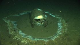 ▲美國海洋科家探測到海底2.5萬桶DDT。（圖／翻攝自推特）