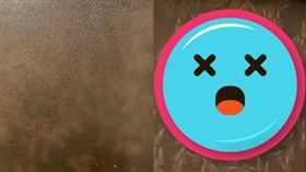 大水蟻,密集,大雨,前兆(翻攝自 路上觀察學院)