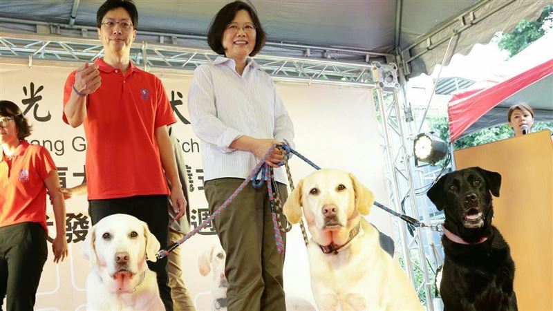 蔡英文遭控特權領養？他說出幕後真相