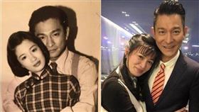 陳少霞、劉德華／翻攝自網易