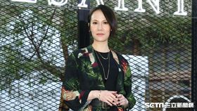 楊乃文。（圖／記者楊澍提供）