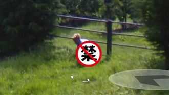 男衝草叢「辦大事」　驚人一幕全拍下