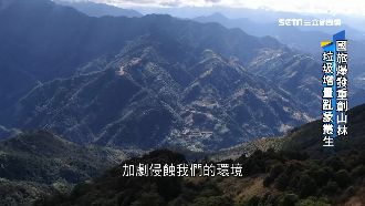 直擊旅遊亂象！觀光推動下的山林悲歌