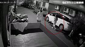 狗咬女童,米克斯,傷害罪,中和,翻攝畫面