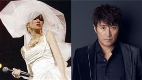 梅艷芳 近藤真彥