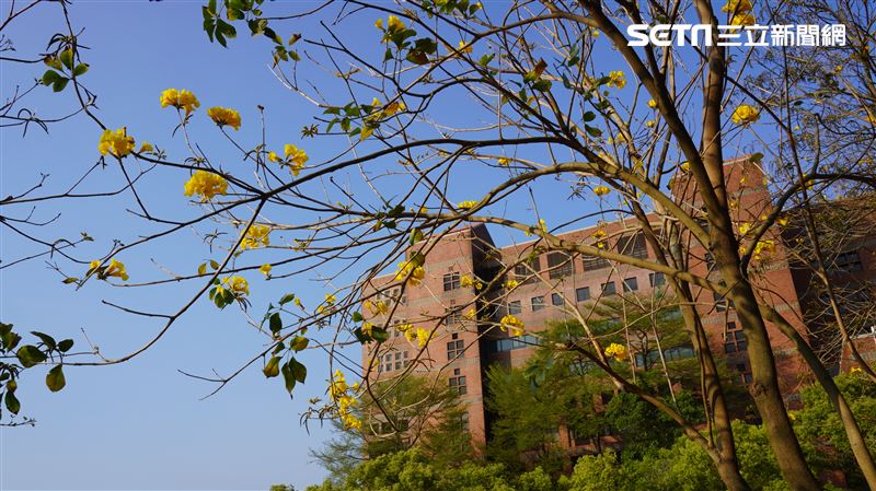 台灣學生聯合會會同中原大學學生會、立委吳思瑤和葛如鈞，共同召開記者會呼籲全面解除宿舍宵禁。（圖／資料照）