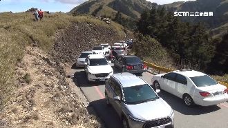 杜鵑盛開吸人氣　車潮湧入塞爆合歡山