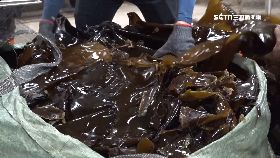 褐藻膠防.癌0600