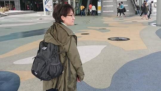 潘孟安稱戰貓姑婆　蕭美琴：真沒禮貌