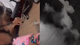 貓,虐待,高雄,跳床,死亡