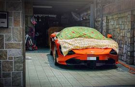 法拉利,麥拉倫,曬衣桿,棉被