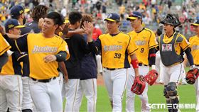 ▲中信兄弟4：0完封味全龍，球員賽後慶祝勝利。（圖／記者劉彥池攝影）