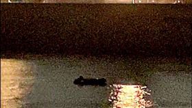 橡皮艇越台海投奔？網：恐藏共軍信號(圖/民眾提供)_