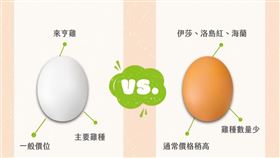 紅雞蛋、白雞蛋哪個比較營養？這一篇讓你一次就看懂（圖／翻攝自好食課粉專）