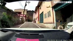 苗栗縣大湖鄉大南村苗62線，橘貓從天而降，撞破休旅車擋風玻璃出現蜘蛛網裂痕(圖／周姓車主提供)