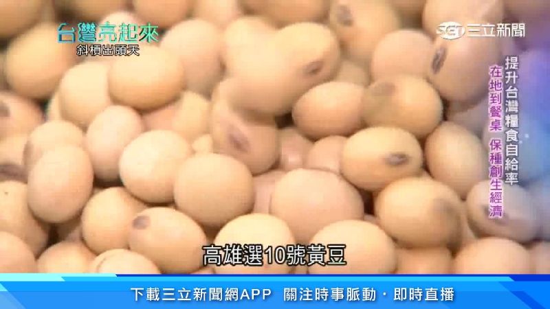 留美女碩士歸國　復耕60年老種黃豆