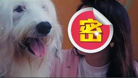 ▲《開心鬼上錯身》（圖／翻攝自微博）