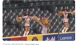 阪神虎啦啦隊女孩「Tiger Girls」在看台表演，是參考台灣職棒經驗。（圖／翻攝自推特）