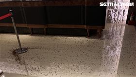 陳嘉昌,餐敘,蟑螂,台北 議員王欣儀提供