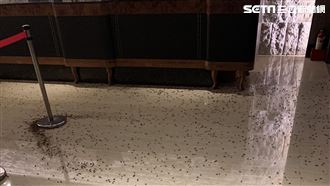 雙北警局長出席餐敘　遭灑上千隻蟑螂