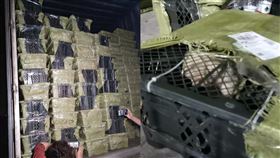 快遞塞「150箱貓狗」！貨車傳悲鳴聲　殘忍運送畫面曝光▲。（圖／翻攝自成都愛之家動物救助中心微博）