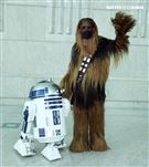 R2D2、丘巴卡出席星戰日。（記者邱榮吉/攝影）