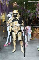 風暴兵出席星戰日。（記者邱榮吉/攝影）