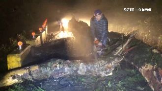 民眾開車遊祕境　遭倒塌路樹困山區