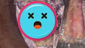 白色寄生蟲在魚肉上鑽動、搖擺，畫面極度噁心。（圖／翻攝自iangnaka抖音）