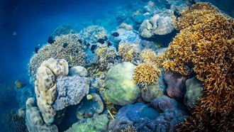 當健人專屬福利　沒預約進不去的秘境