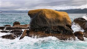 勿用！！！！！！！！！！美拍開箱女王的秘密花園　野柳神秘第三區10大必拍景點
