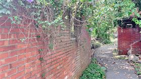 （圖／記者賴御文攝影）