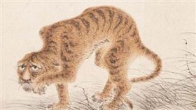 ▲華岩的虎圖。（圖／翻攝自故宮網站）