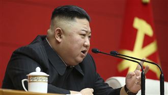 金正恩不准！北韓女優拍AV遭處決