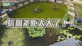 超髒池塘大改造！　一個月後清澈見底