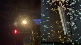 圖／翻攝自鄭明典臉書