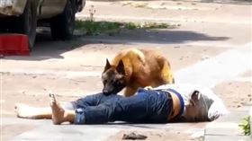 圖／翻攝自時間視頻