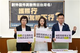 民進黨立委林楚茵推動國際駕照正名台灣（圖／記者林楚茵辦公室提供）