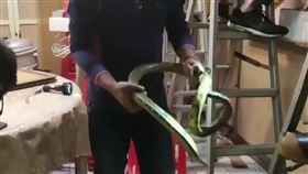 新北,消防隊,蛇,民宅,臭青母,錦蛇,金山（圖／翻攝北海岸全民聯盟公社臉書社團）