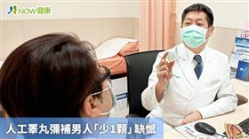 名家專用／NOW健康／輔大醫院泌尿科醫師戴槐青表示，若在陰囊內摸不到睪丸，多數會遺留在腹股溝、少數在後腹腔，稱為「隱睪症」，有時陰囊發育較差，也會導致兩側不對稱。(勿用)