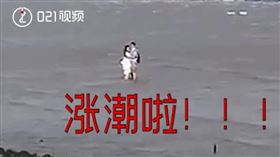 圖／翻攝自021視頻