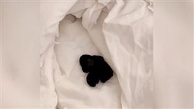 花7800住溫泉飯店！掀被驚見放「血內衣」　他當場傻眼（圖／翻攝自星視頻）