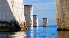 墜35公尺高懸崖！男死前「1轉念」成功保命：活下來了（圖／翻攝自Jurassic Coast官網）