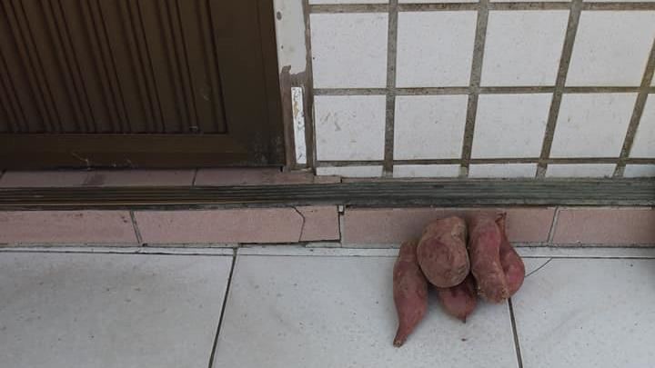 家門長5根地瓜　女苦惱：不只我這樣