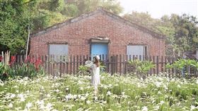 名家專用／台灣旅行趣（勿用）
