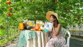 淡水季節限定的「南瓜隧道」（新北市政府農業局提供）