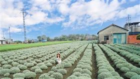 名家專用／台灣旅行趣（勿用）